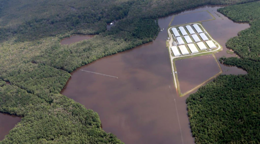 CAFO Flood Waterkeeper Alliance