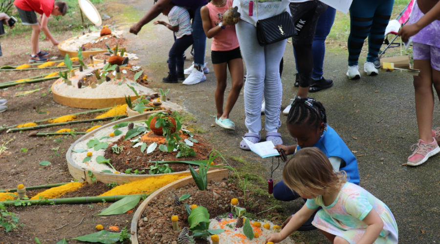 clted kids terra forma activity