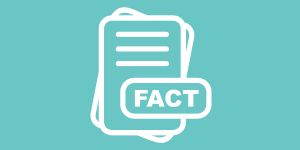 fact sheet icon