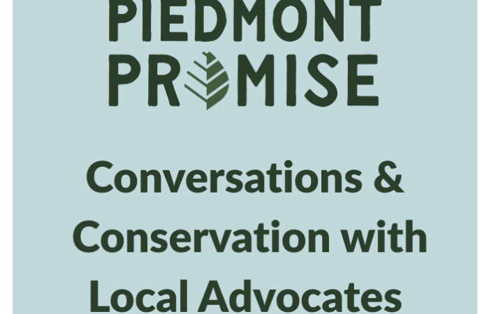 piedmont promise event