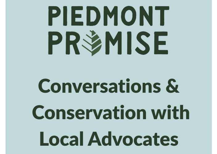 piedmont promise event