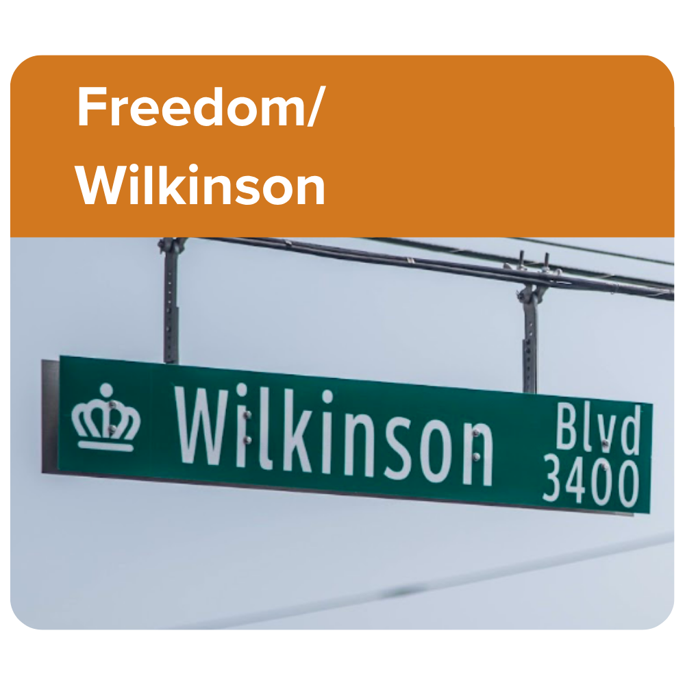 Freedom/ WIlkinson