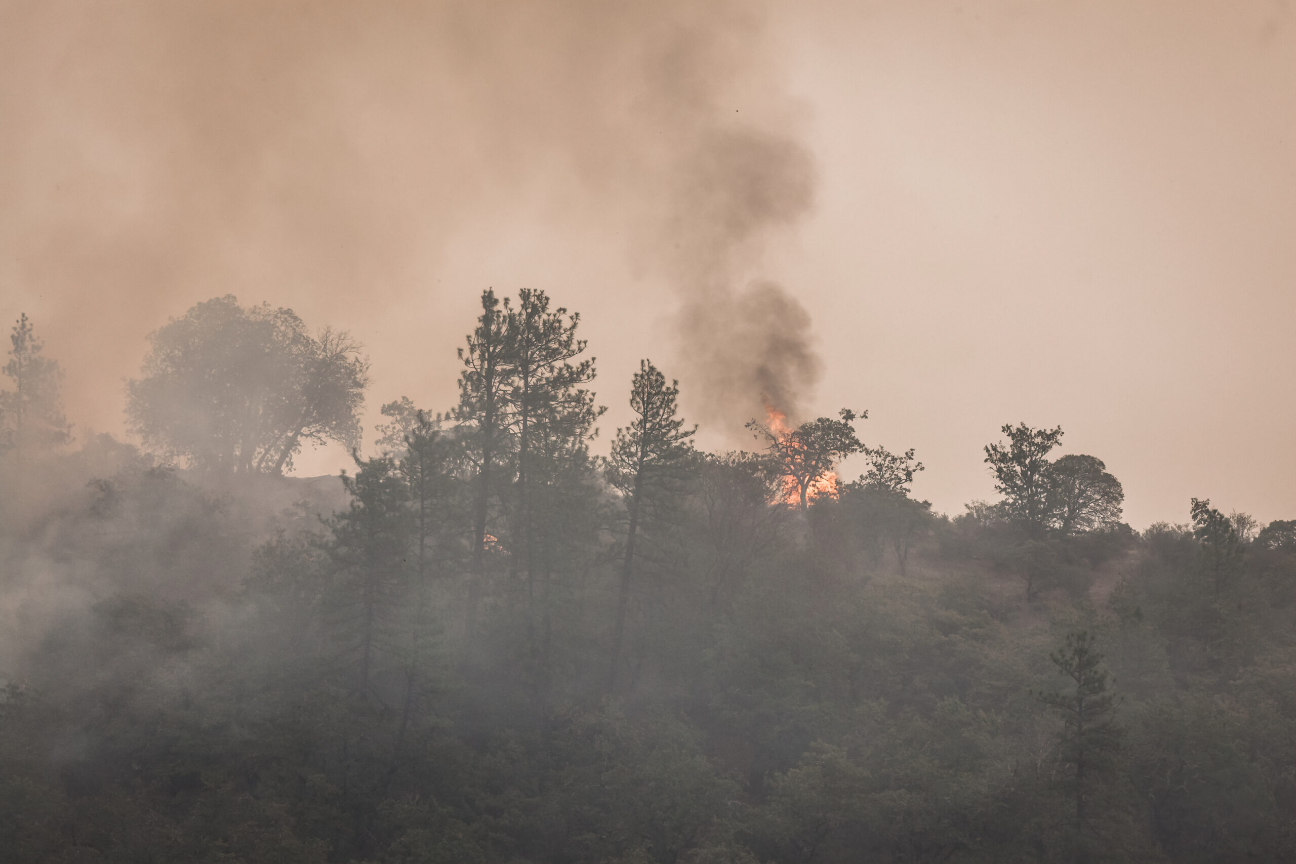 Wildfire Smoke